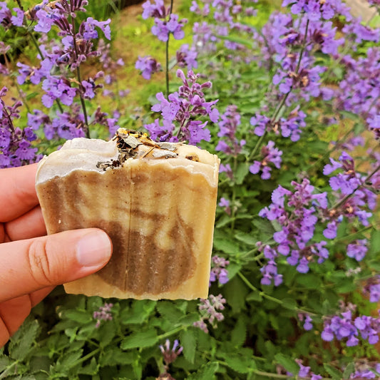 Tallow Soap Bars